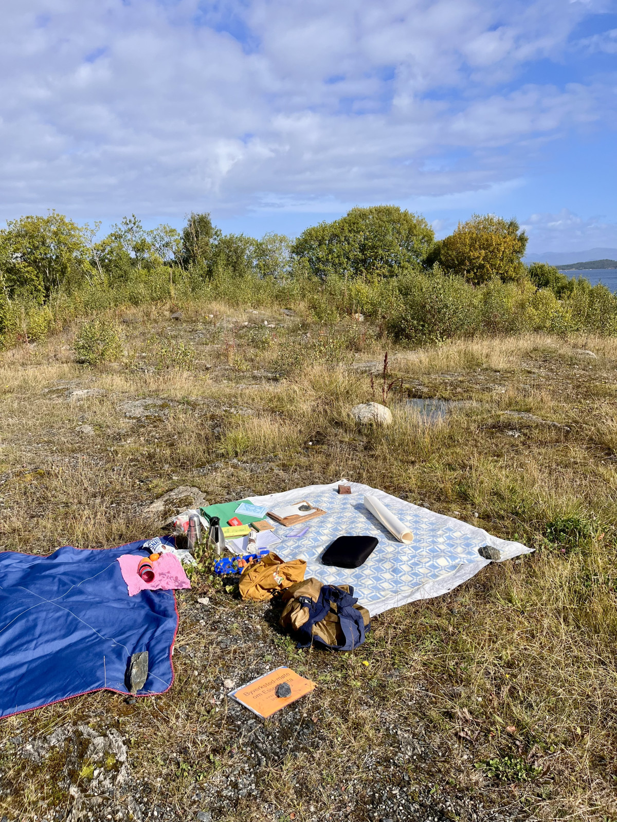 picknick blankets, books, view over the site, fjord in the background